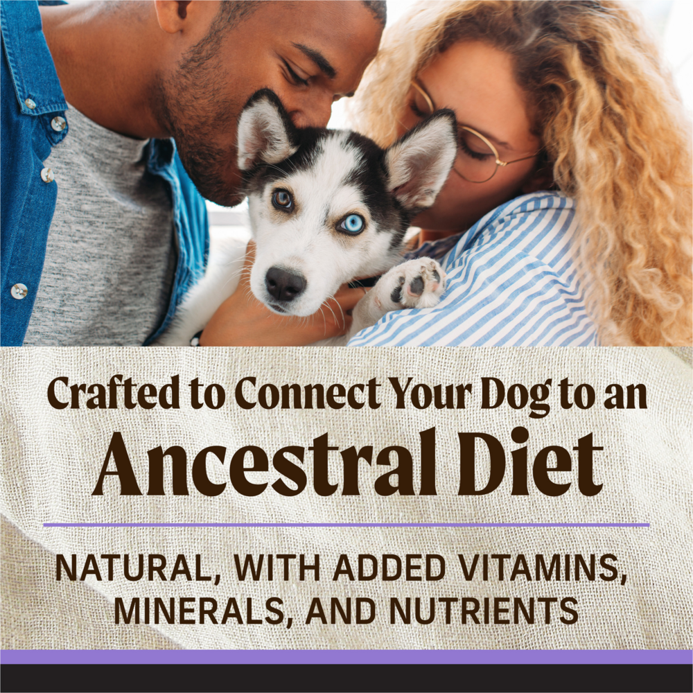 Merrick Backcountry Grain Free Freeze Dried Puppy Food