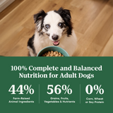 Nutro Wholesome Essentials Adult Farm-Raised Chicken, Brown Rice & Sweet Potato Dry Dog Food