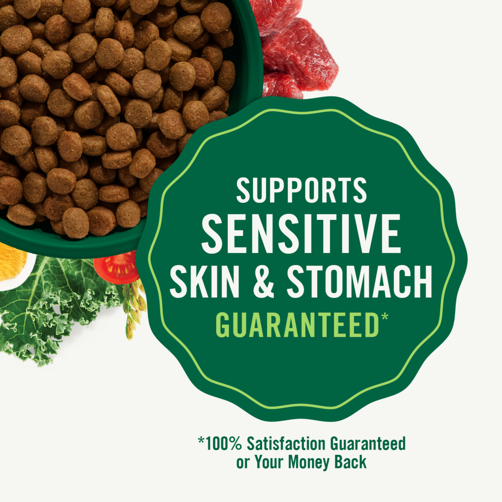 Nutro Wholesome Essentials Healthy Weight Adult Farm-Raised Chicken, Lentils & Sweet Potato Dry Dog Food