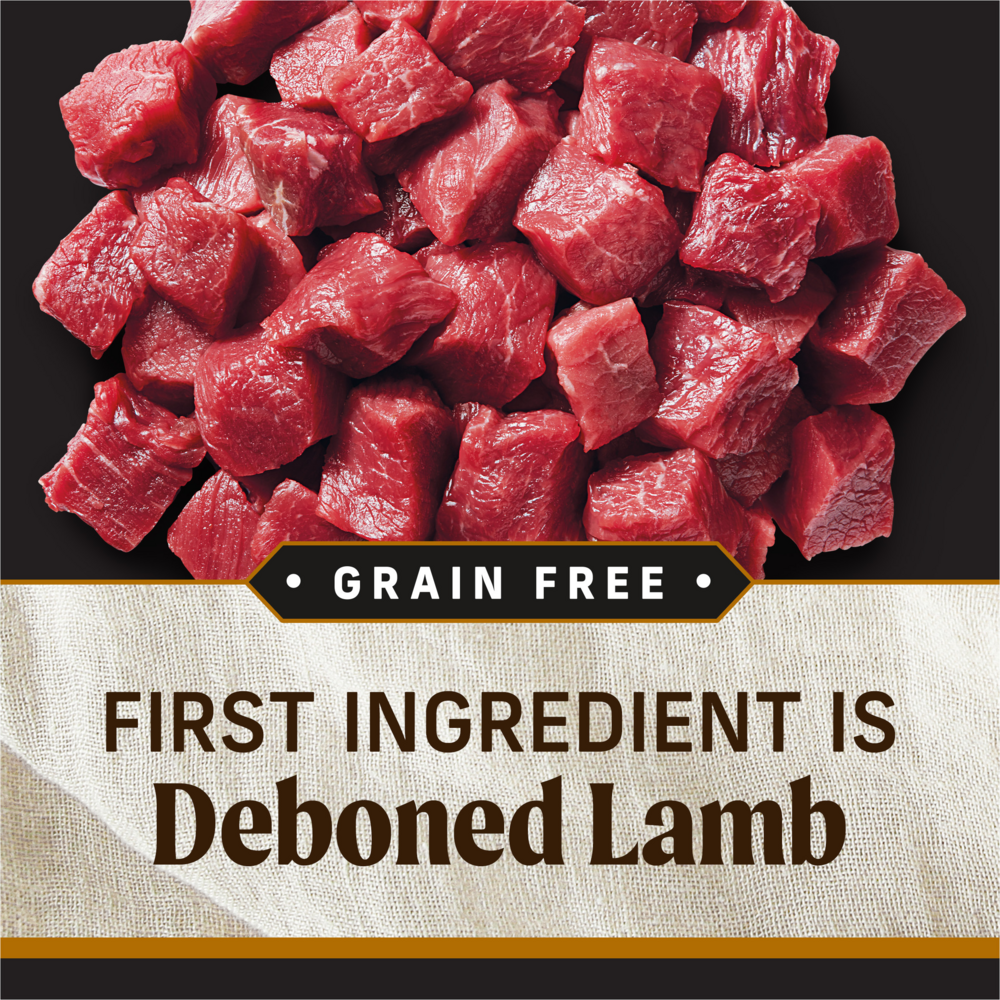 Merrick Backcountry Big Game Adult Dry Dog Food