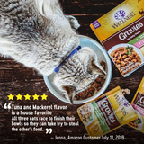 Wellness Healthy Indulgence Natural Grain Free Gravies with Tuna and Mackerel in Gravy Cat Food Pouch