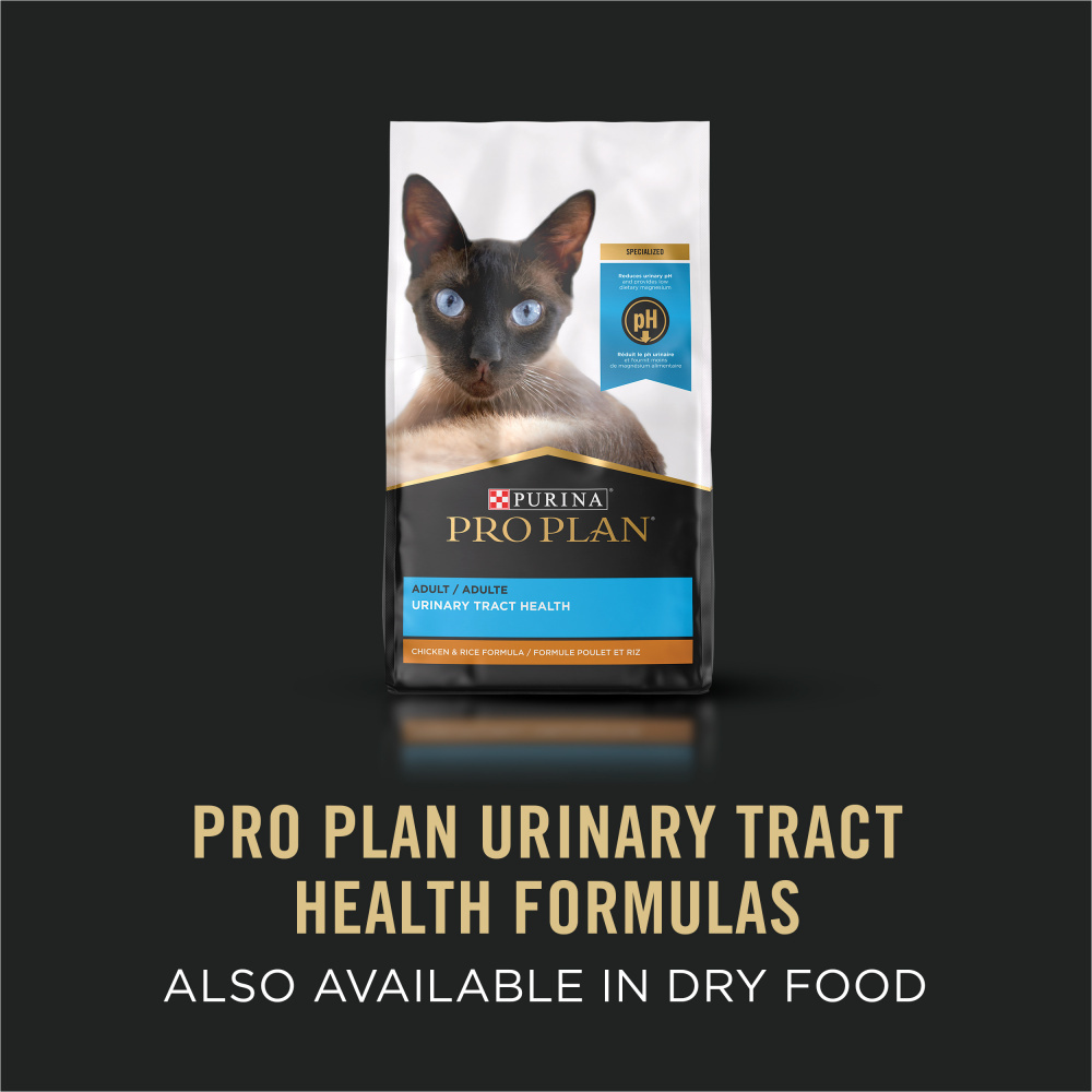 ProPlan Urinary Tract Health Ocean Whitefish Wet Cat Food