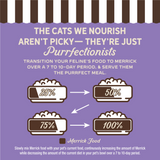Merrick Purrfect Bistro Grain Free Rabbit Pate Canned Cat Food
