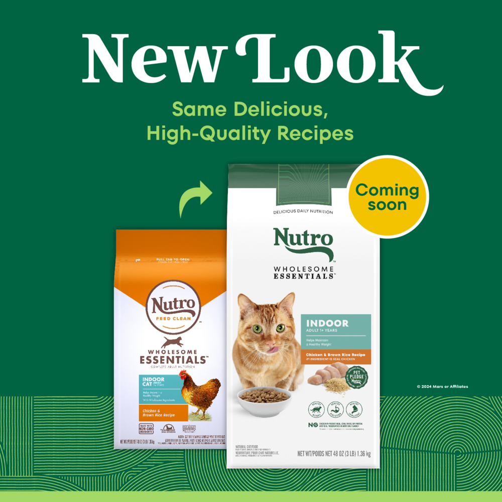 Nutro Wholesome Essentials Indoor Chicken and Brown Rice Recipe Adult  Dry Cat Food