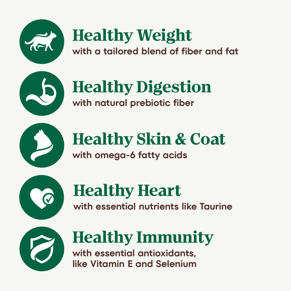 Nutro Wholesome Essentials Indoor Chicken and Brown Rice Recipe Adult  Dry Cat Food