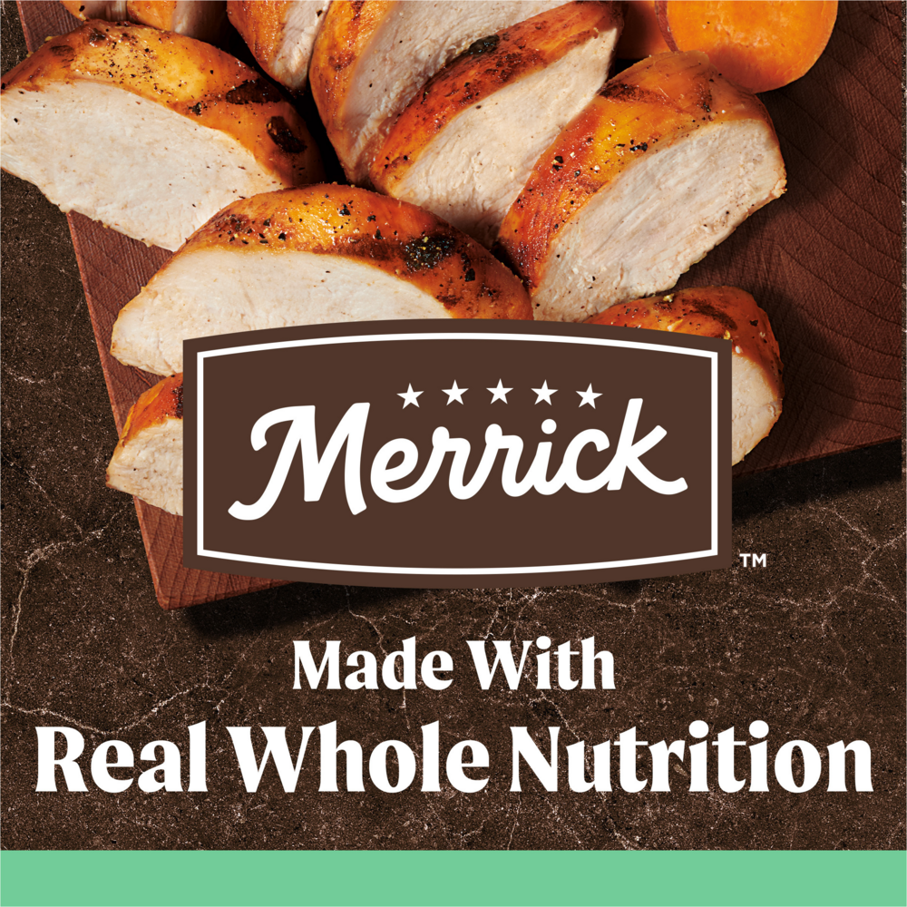 Merrick Grain Free Chicken and Sweet Potato Senior Dry Dog Food