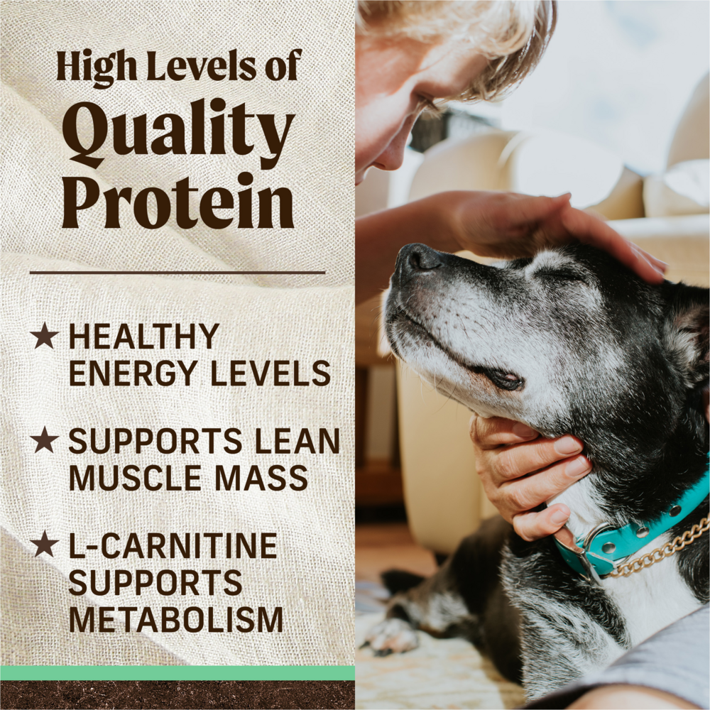 Merrick Grain Free Chicken and Sweet Potato Senior Dry Dog Food