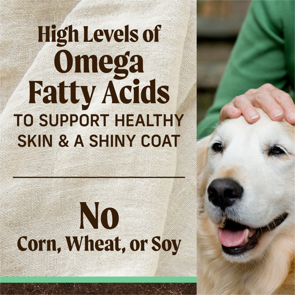 Merrick Grain Free Chicken and Sweet Potato Senior Dry Dog Food