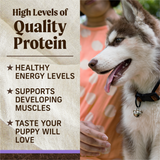 Merrick Grain Free Beef and Sweet Potato Dry Puppy Food