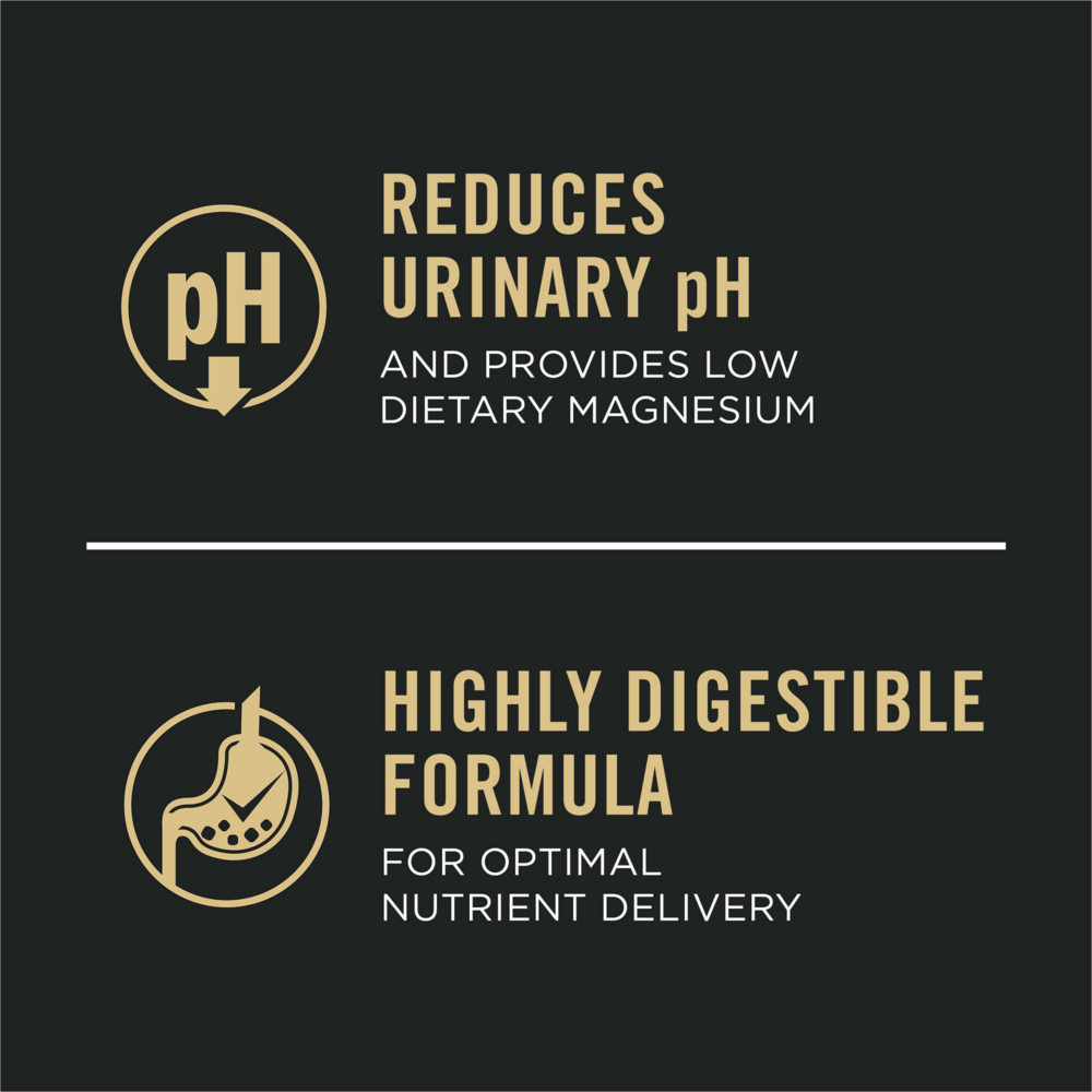 Purina Pro Plan Urinary Tract Health Salmon Recipe Canned Cat Food