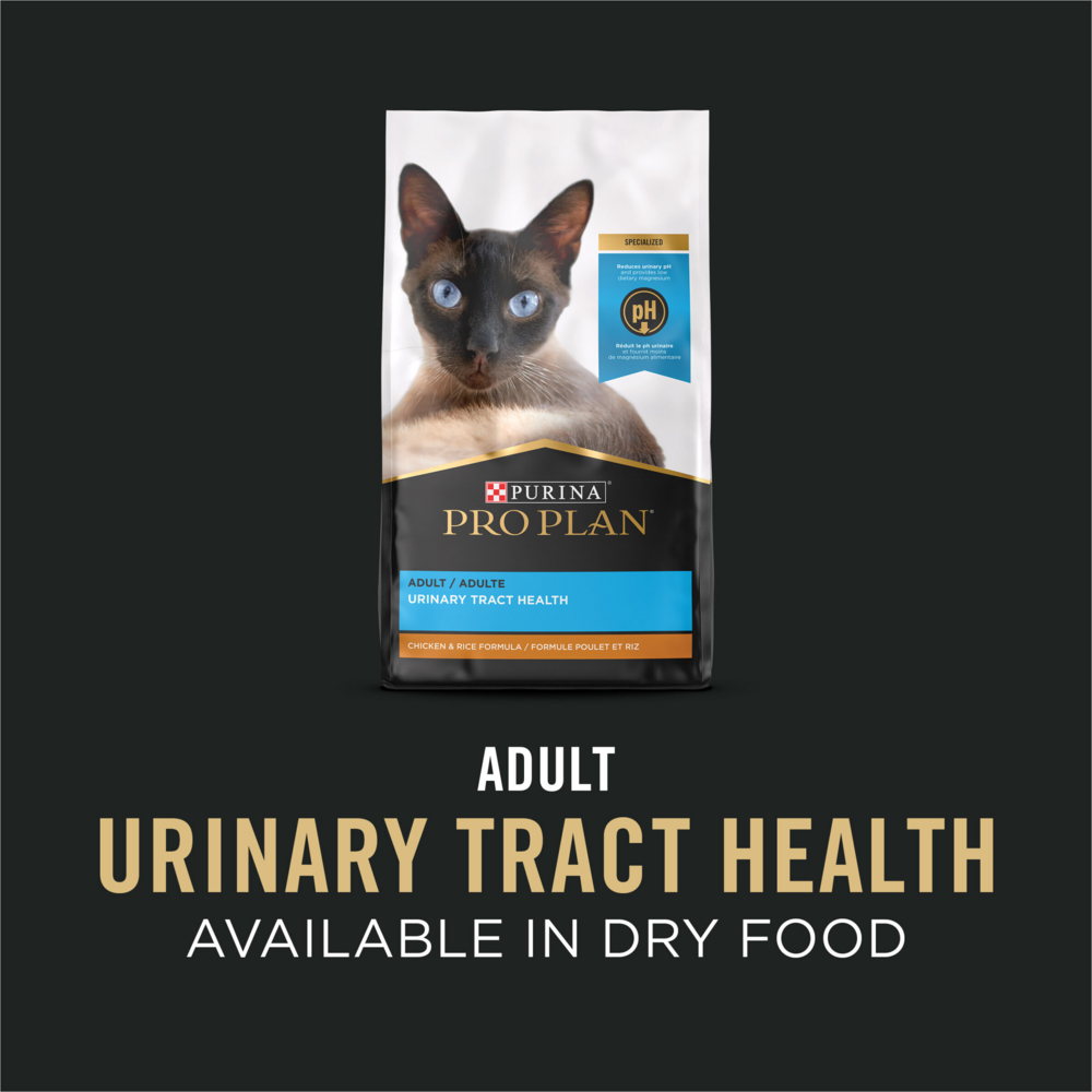 ProPlan Urinary Tract Health Salmon Wet Cat Food