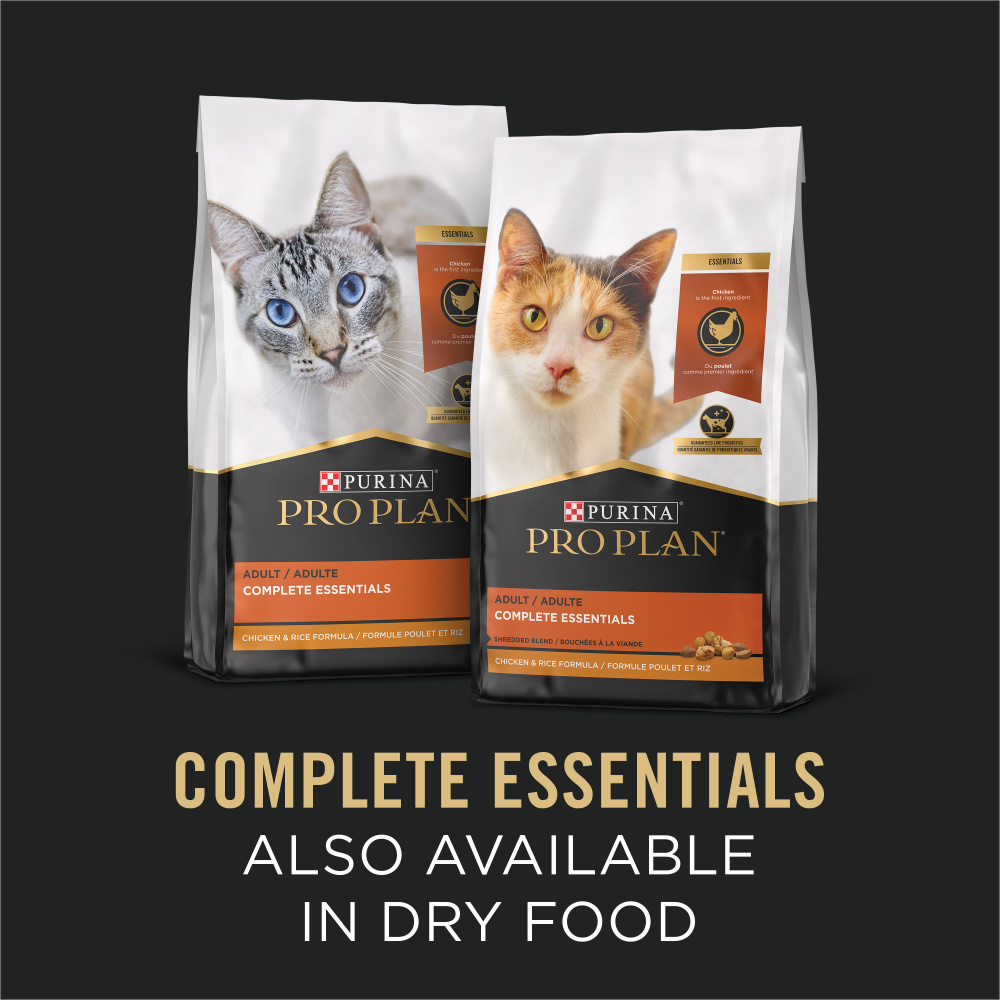 ProPlan Chicken in Gravy Wet Cat Food