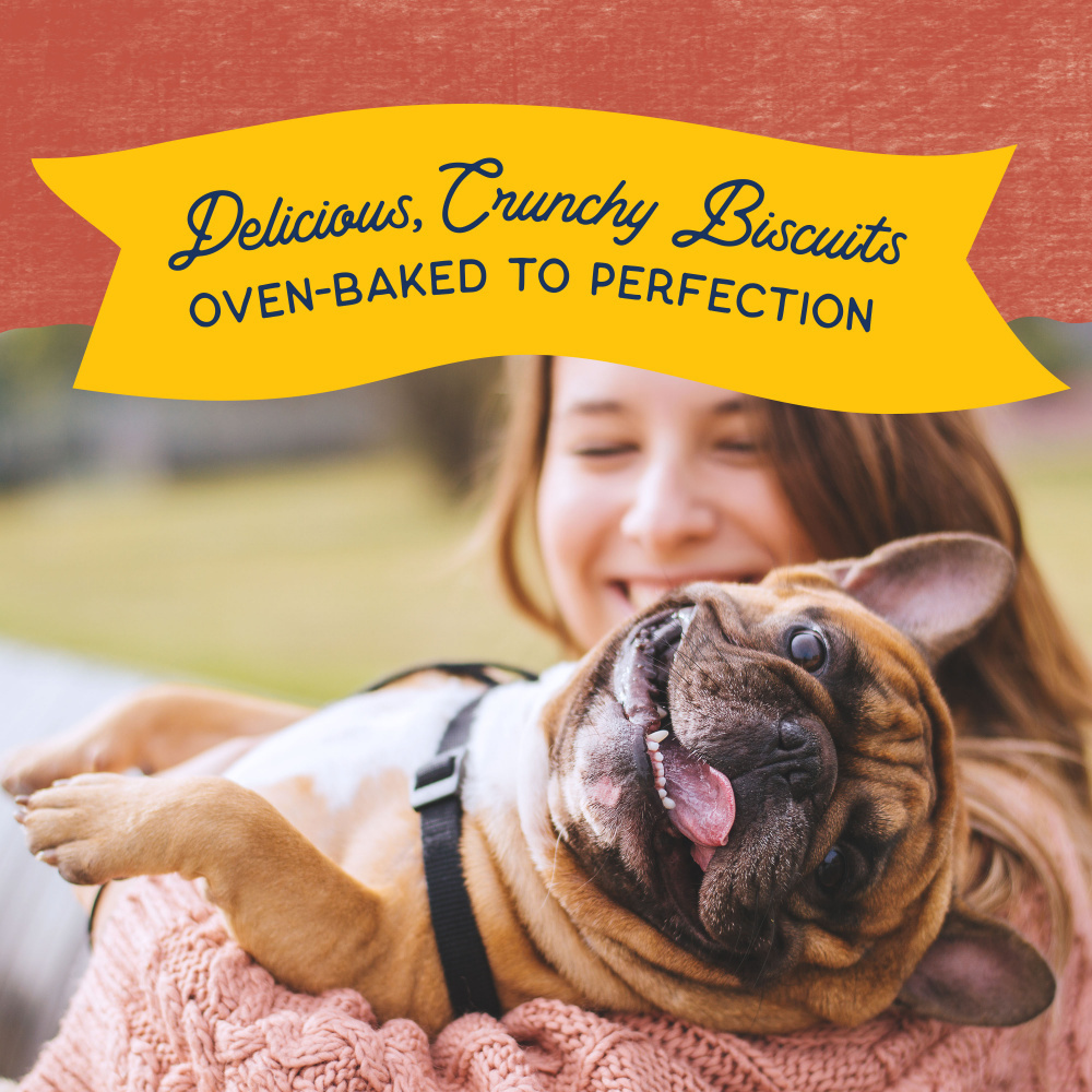 Natural Balance Rewards Crunchy Biscuits Dog Treats for Small Breeds with Real Salmon
