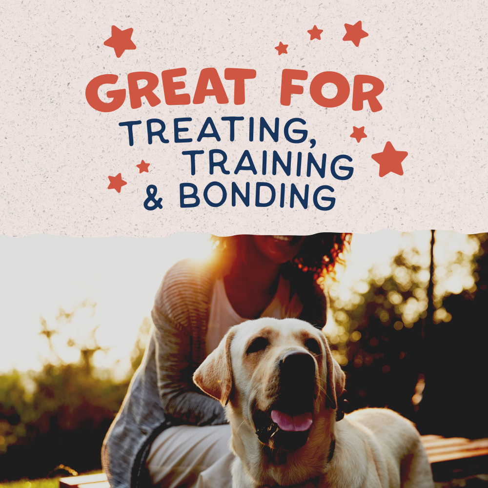 Natural Balance Rewards Crunchy Biscuits Dog Treats for Small Breeds with Real Salmon