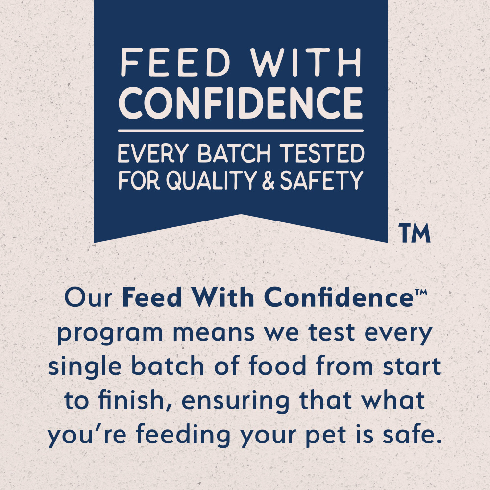 Natural Balance Rewards Crunchy Biscuits Dog Treats for Small Breeds with Real Salmon