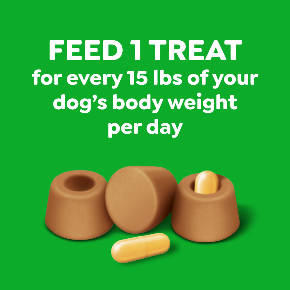 Greenies Pill Pockets Canine Chicken Flavor Dog Treats