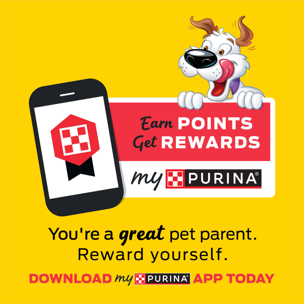 Beggin' Strips Dog Treats, Original With Bacon Flavor