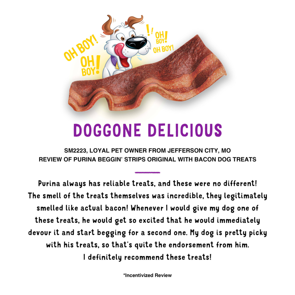 Beggin' Strips Dog Treats, Original With Bacon Flavor