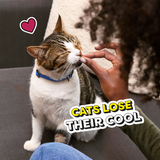 Temptations Chicken Indoor Cat Treats