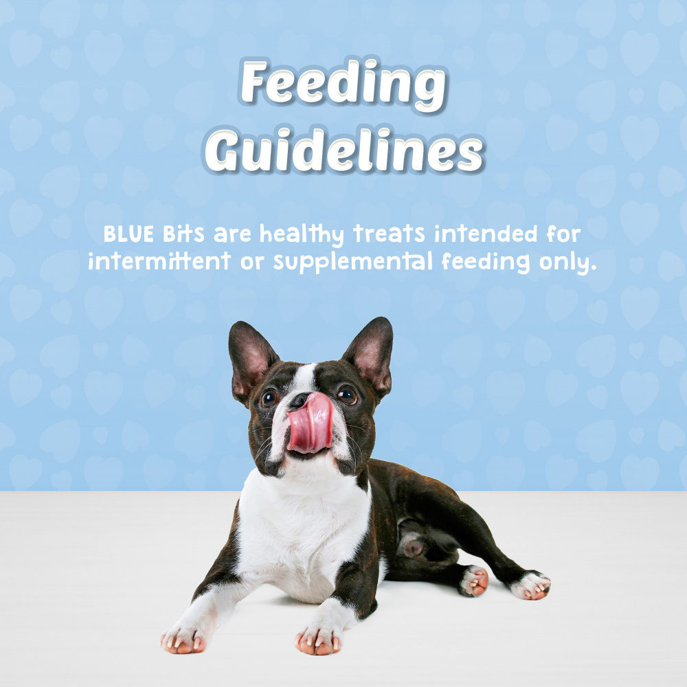 Blue Buffalo Bits Tender Beef Natural Soft Moist Training Dog Treats