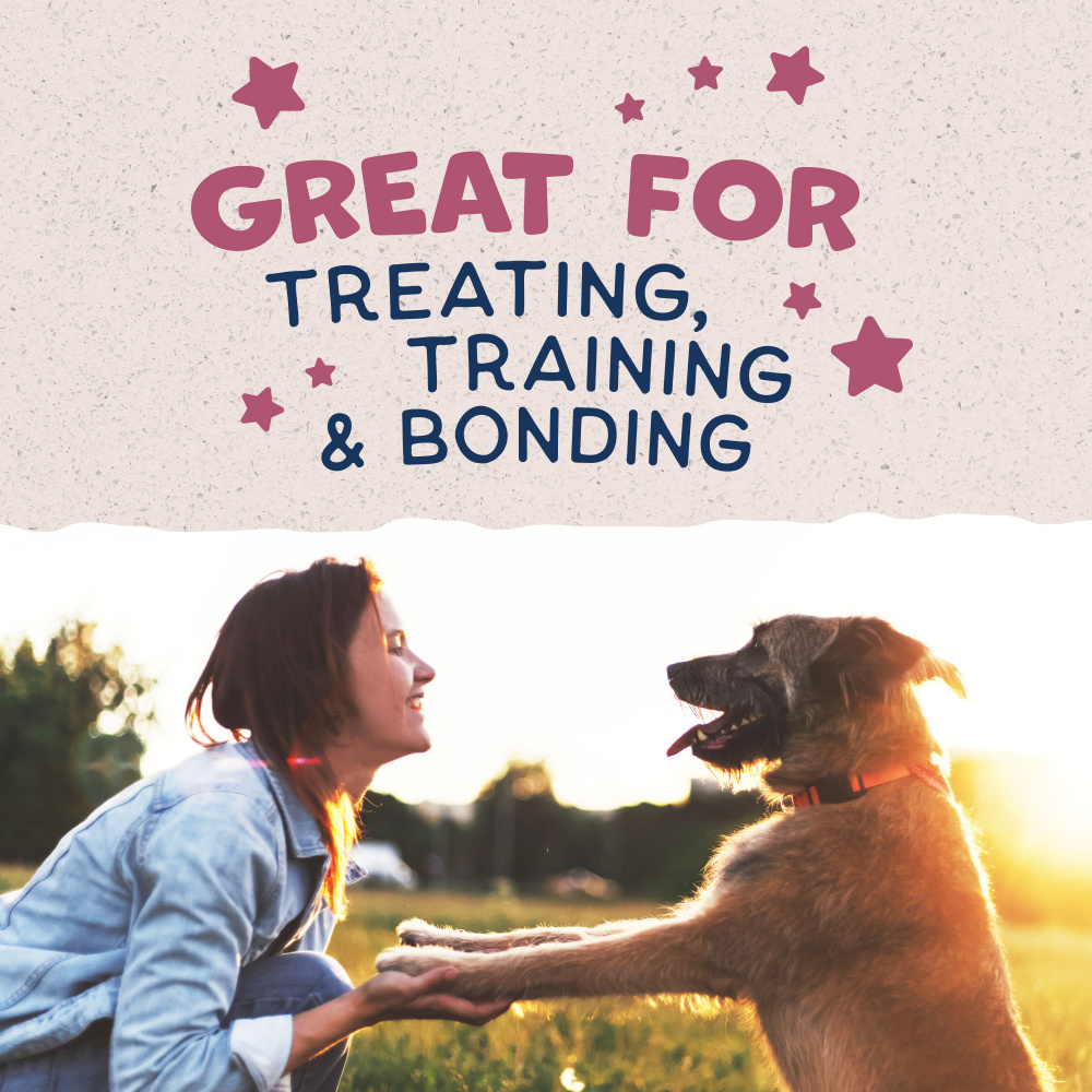 Natural Balance Rewards Jumpin' Stix Dog Treats with Real Venison