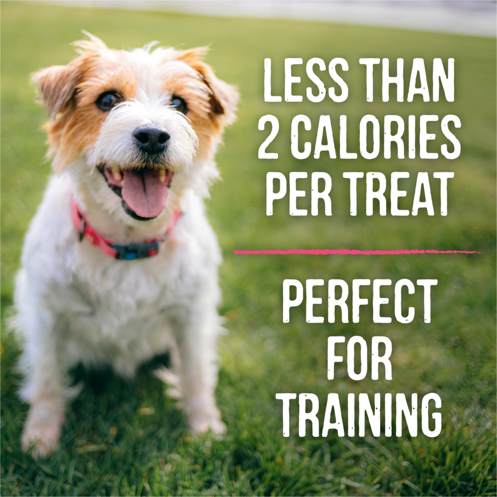 Merrick Lil' Plates Salmon Small Breed Dog Training Treats