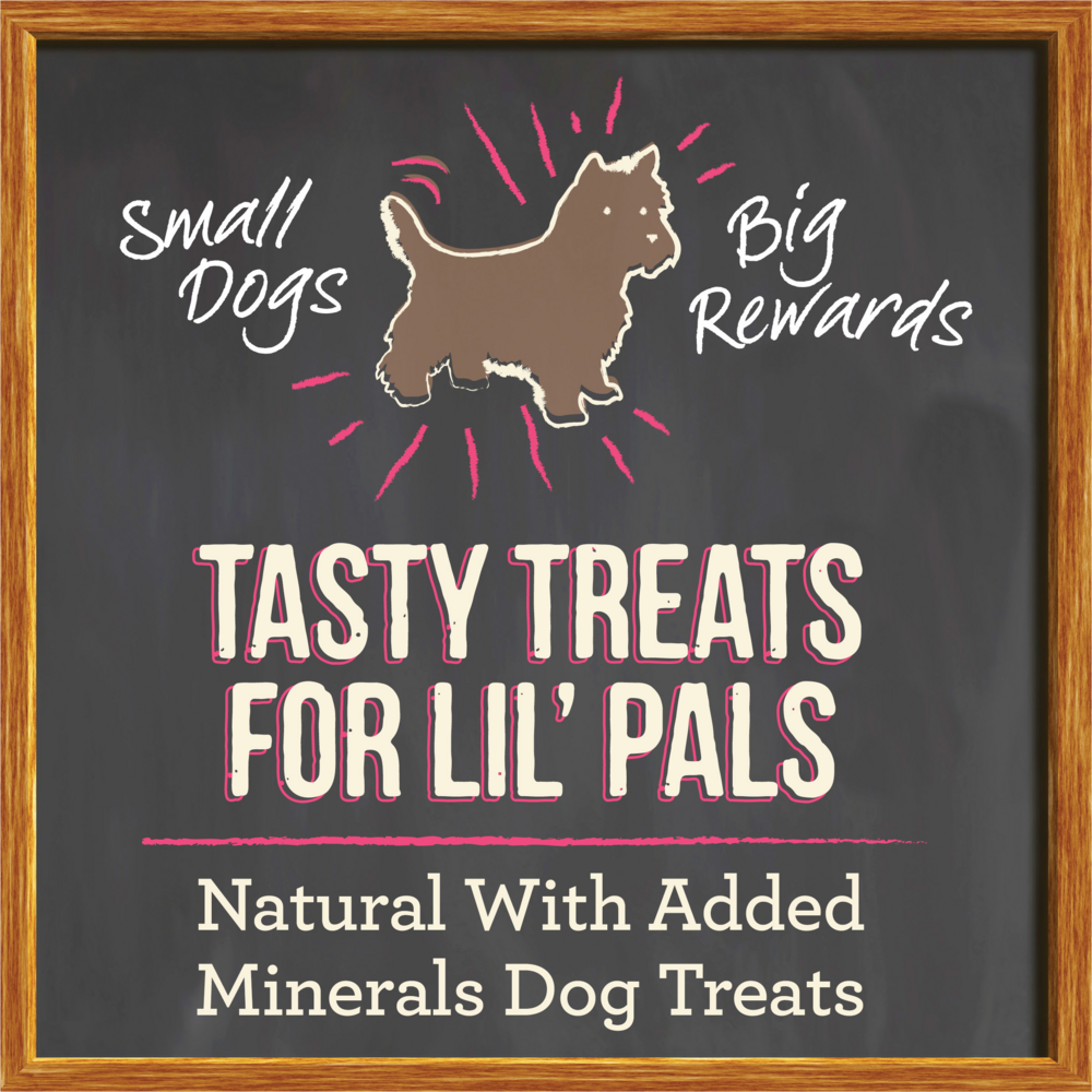 Merrick Lil' Plates Salmon Small Breed Dog Training Treats