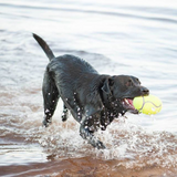 Kong AirDog Squeaker Football Dog Toy