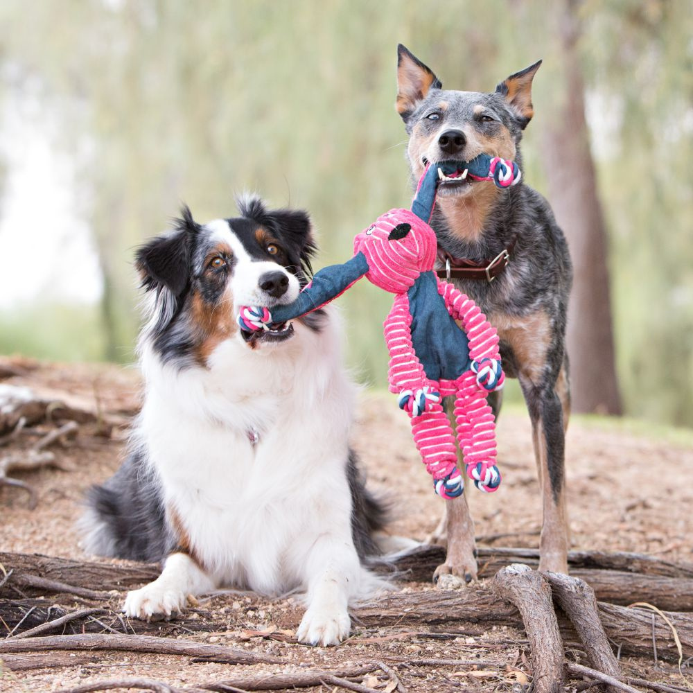 KONG Floppy Knots Bunny Dog Toy