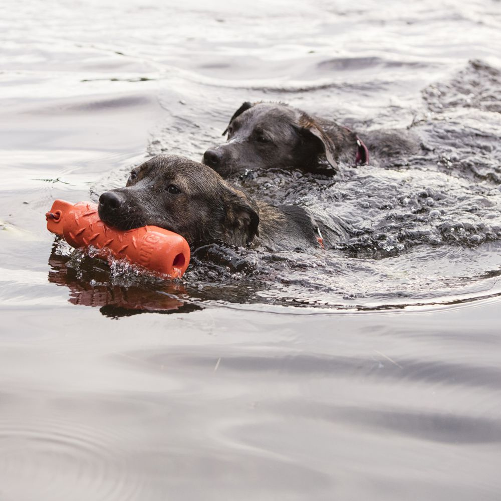 Kong Training Dummy Floating Dog Toy