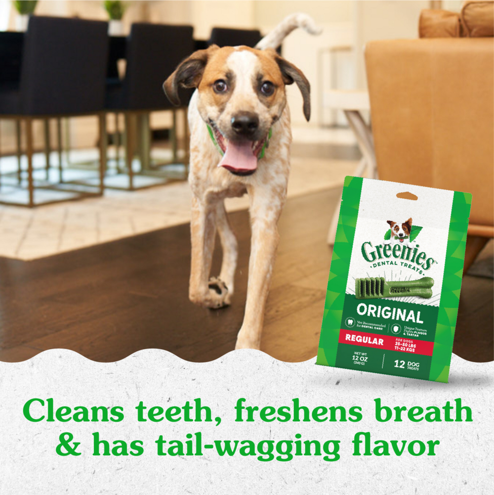 Greenies Regular Original Dental Dog Chews