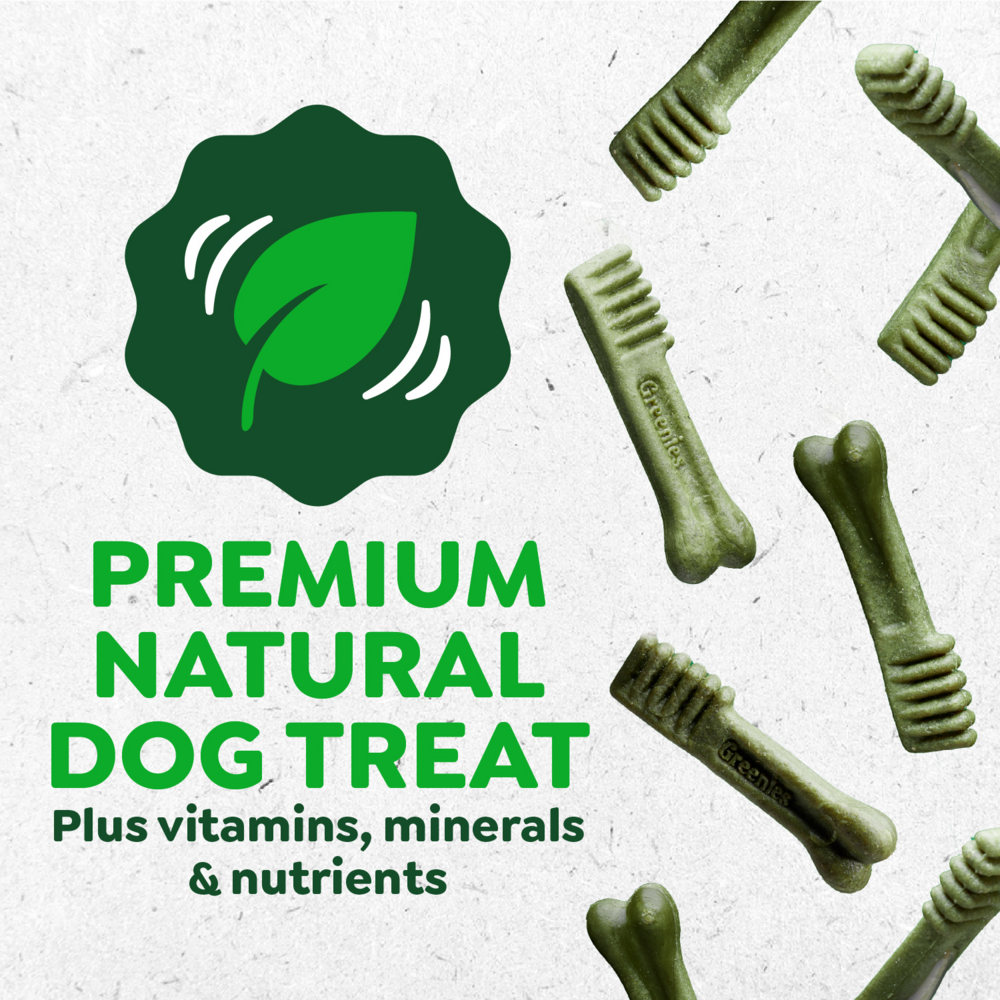 Greenies Original Dental Dog Chews Regular