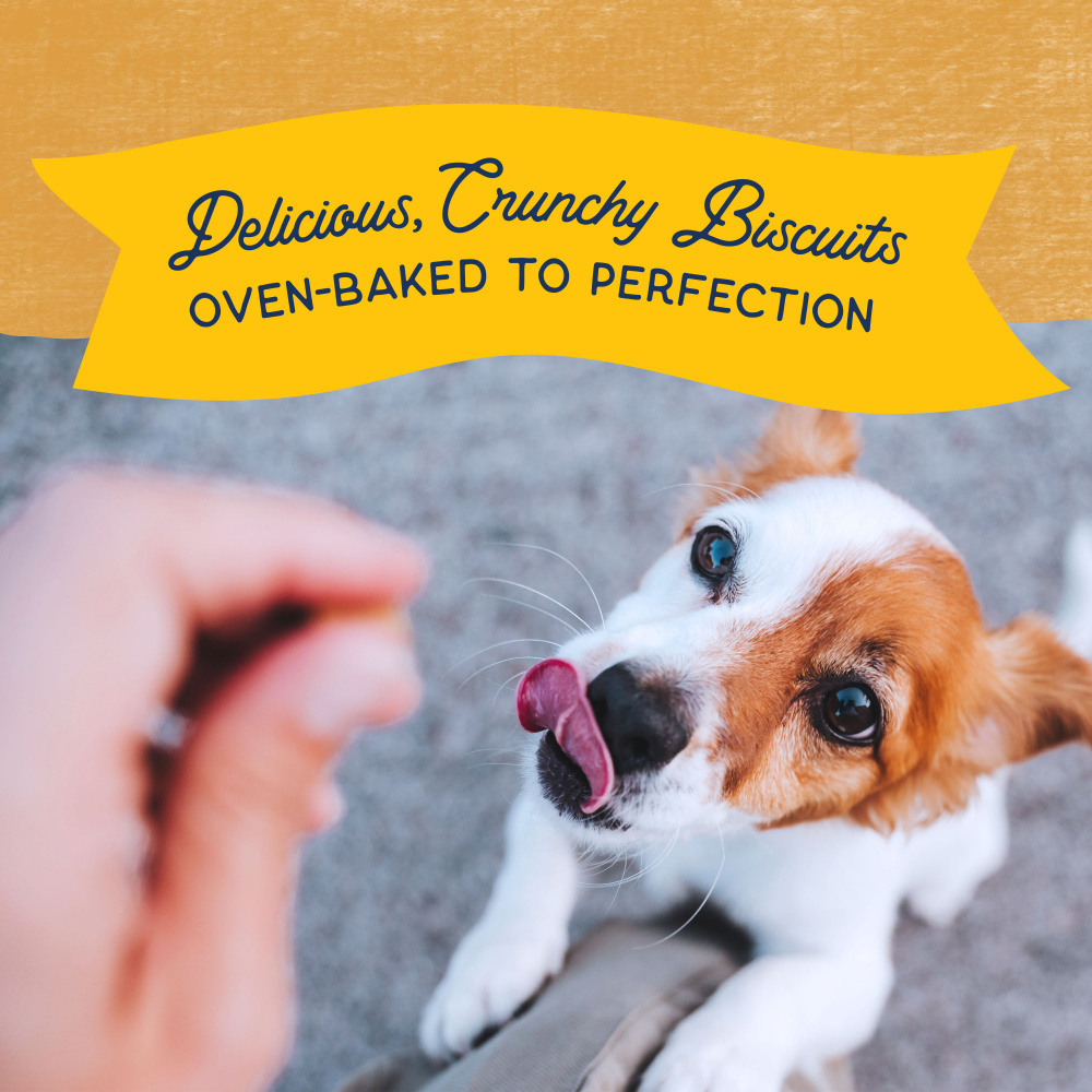 Natural Balance Rewards Crunchy Biscuits Dog Treats for Small Breeds with Real Duck