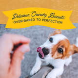 Natural Balance Rewards Crunchy Biscuits Dog Treats for Small Breeds with Real Duck