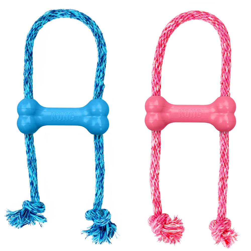 Kong Puppy Goodie Bone Dog Toy