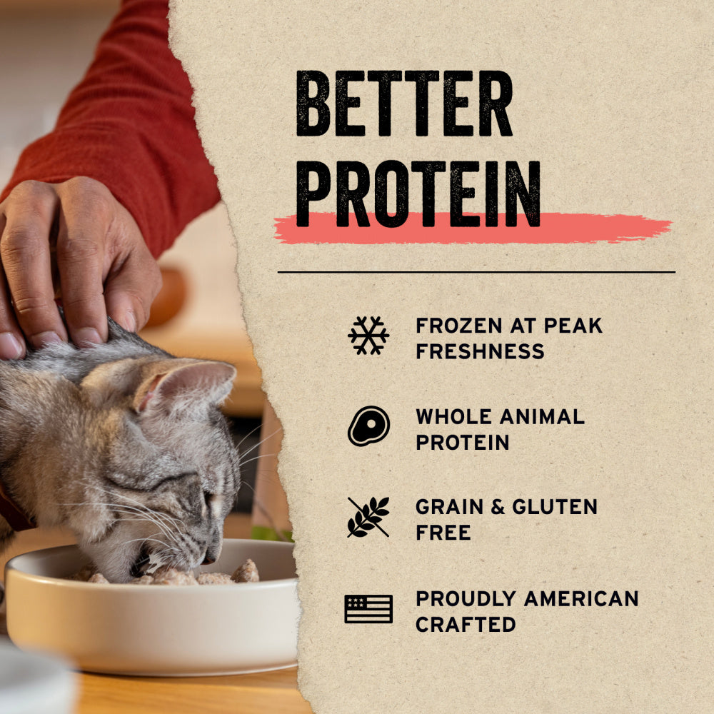 Vital Essentials Vital Cat Freeze Dried Grain Free Minnows Cat Treats –  Lees' Feed & Western