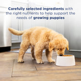 Natural Balance L.I.D. Limited Ingredient Diets Grain Free Potato and Duck Puppy Formula Dry Dog Food